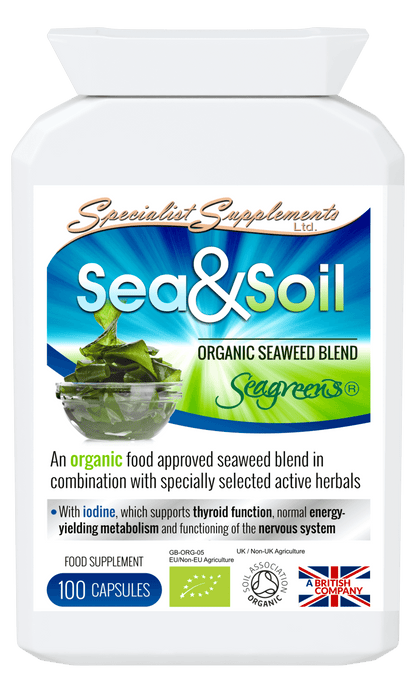 Sea & Soil